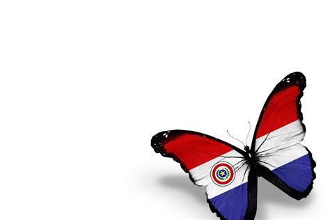 borboleta paraguaia - efeito borboleta filme